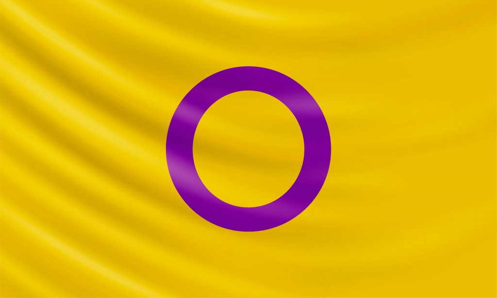 Yellow flag with a purple circle shape in the middle representing intersex people / people with variations in sex characteristics.