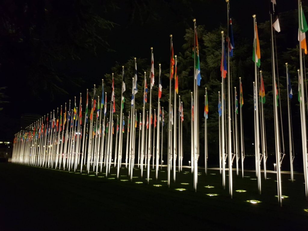 Many flags hanging from flagpoles grouped close together and lit by floodlights in the darkness