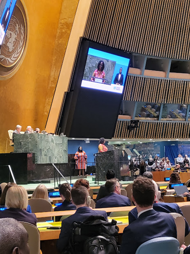 A large formal chamber with a stage and a podium. A large screen on the wall shows the person speaking at the podium, a dark-skinned woman in a colourful dress. People in the audience sit at long panel desks.